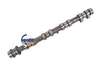 EKSANTRİK MİLİ - EMME FOCUS-KUGA 11> 1.6 ECOBOOST