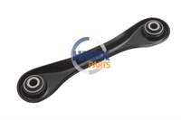 ARKA DENGE KOLU  FOCUS 11>